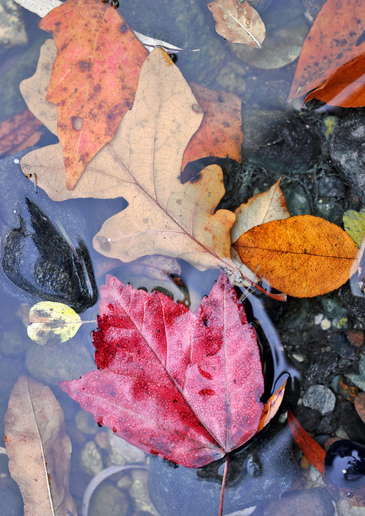 JVG_211008_PHOTO01